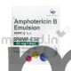 Spamp-E 50 Amphotericin B