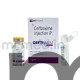 Ceftiwem 1gm Injection