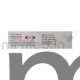 Desifer Mango Flavor 400mg Tablet