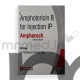 Amphotech 50mg Injection